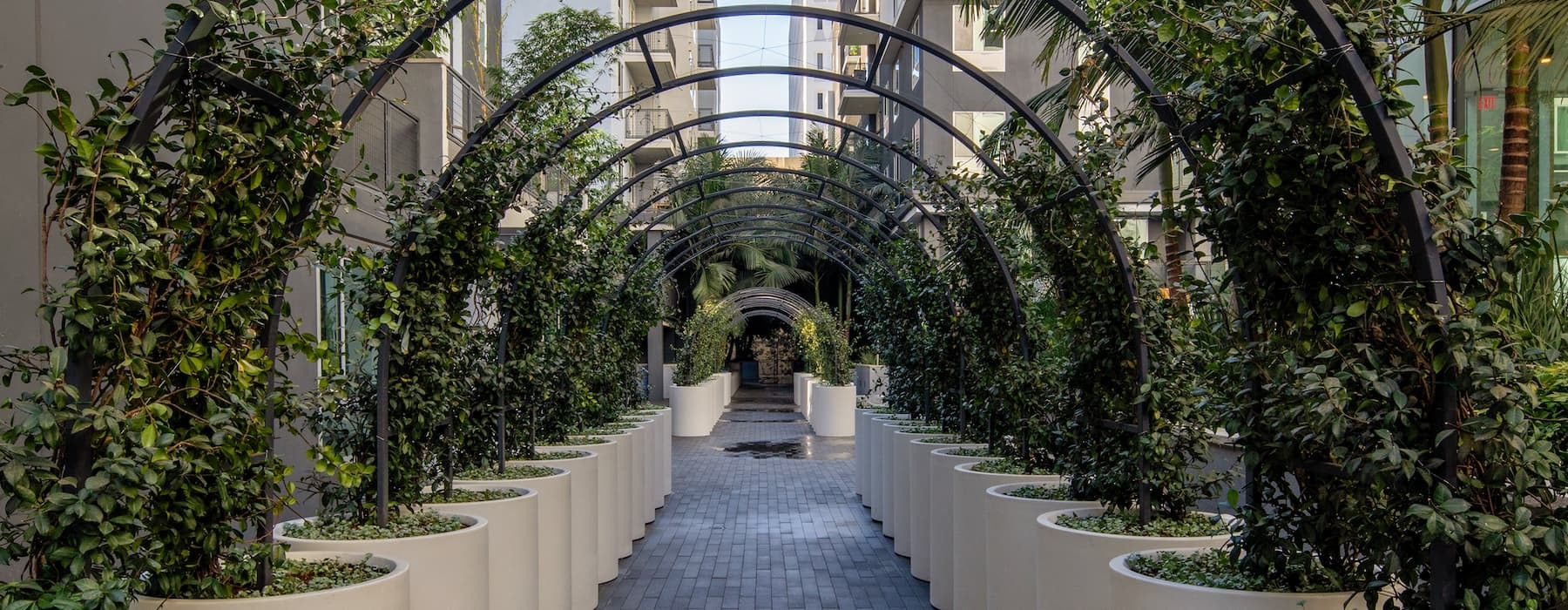 spacious courtyard walkway with lush landscaping