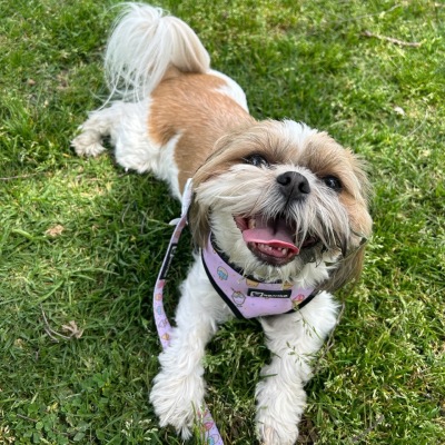 Review for Emily