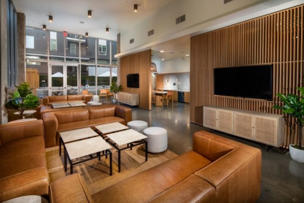 lounge area with spacious seating and room for lounging on boutique furniture